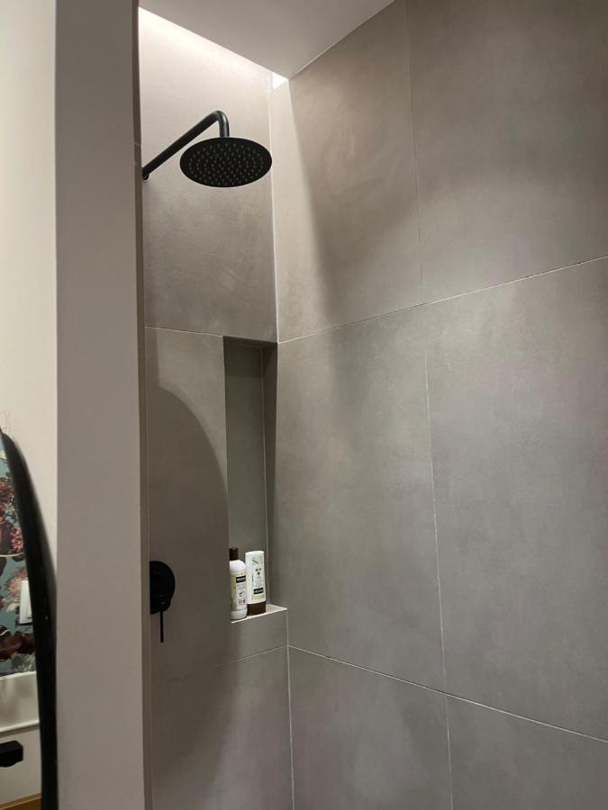 Luxury Stancesvic Loft Apartment Vic